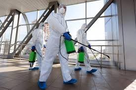 Wichita mold removal