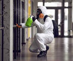 wichita mold removal and prevention